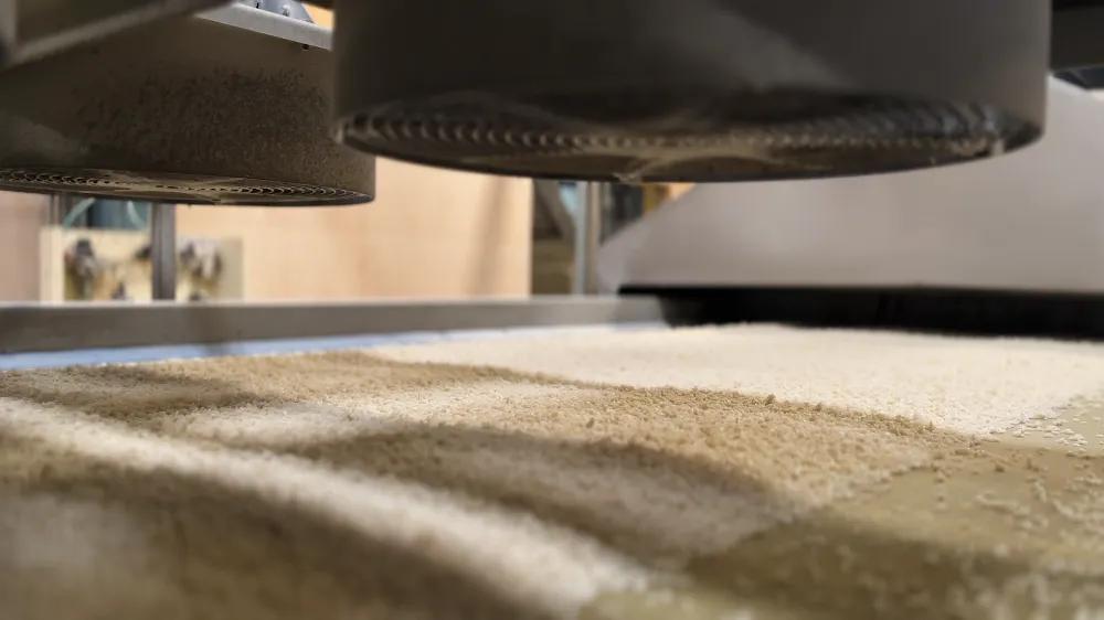 Specialty Extruded Rice